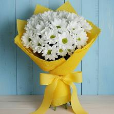 Букет цветов из:  Хризантемы в Красном Балтийце
