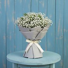 Букет цветов из:  Гипсофила в Красном Балтийце