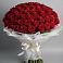 Букет 101 Красная роза Блэк Мэджик в Красном Балтийце