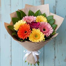 Букет цветов из:  Герберы #REPLACE_PRED# Красном Балтийце