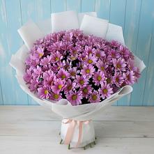 Букет цветов из:  Хризантемы #REPLACE_PRED# Красном Балтийце