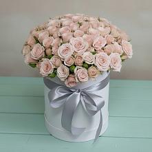 Цветочная композиция из Розы в шляпной коробке в Красном Балтийце