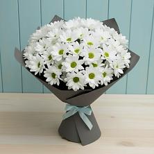 Букет цветов из:  Хризантемы в Красном Балтийце