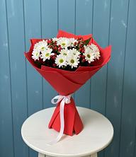 Букет цветов из:  Хризантемы в Красном Балтийце