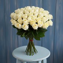 Букет 51 Белая роза Эдлесс Лав #REPLACE_PRED# Красном Балтийце