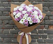 Букет цветов из:  Хризантемы #REPLACE_PRED# Красном Балтийце