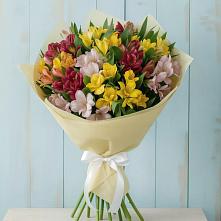 Букет цветов из:  Альстромерии в Красном Балтийце