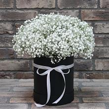 Цветочная композиция из Гипсофила в шляпной коробке в Красном Балтийце