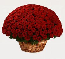 Премиум букет из: Розы #REPLACE_PRED# Красном Балтийце