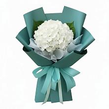 Букет цветов из:  Гортензия #REPLACE_PRED# Красном Балтийце